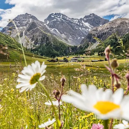 Alpine فندق